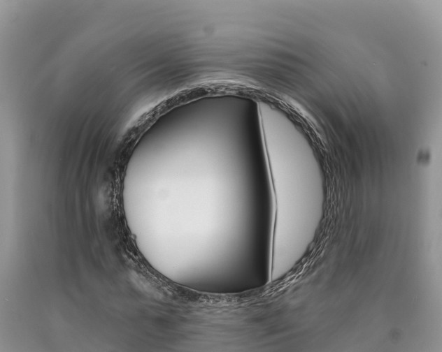 X0000090780775200707201134