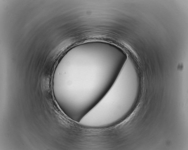 X0000090780777200707201134