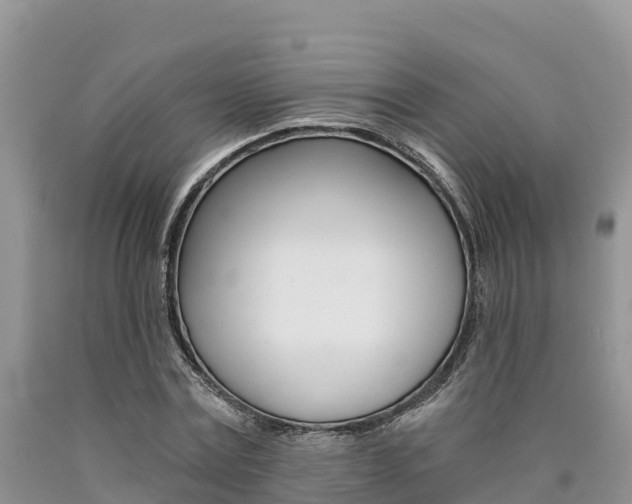 X0000090780779200707201134