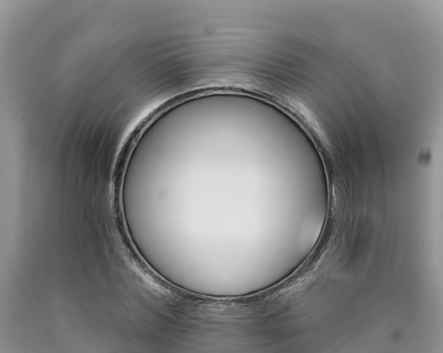 X0000090780780200707201134
