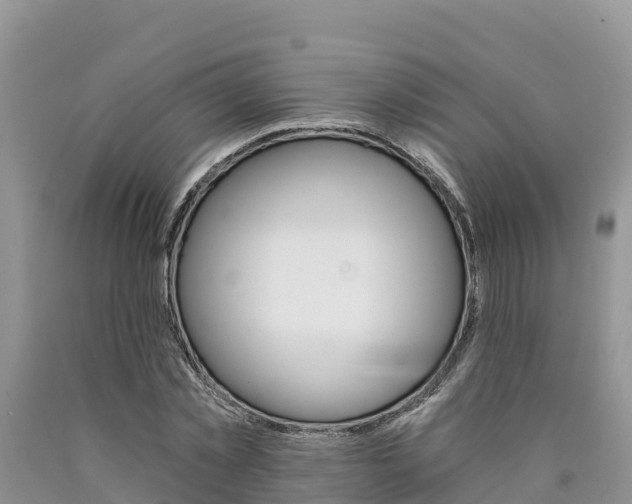 X0000090780781200707201134