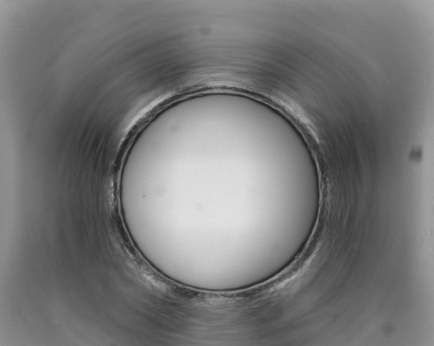 X0000090780782200707201134