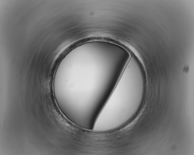 X0000090780783200707201134