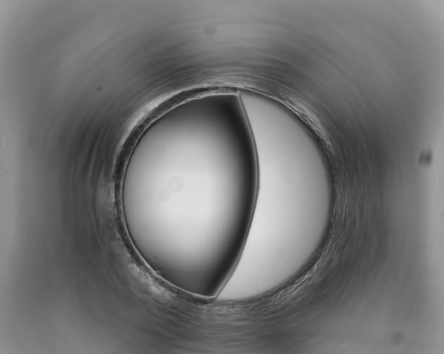 X0000090780784200707201134