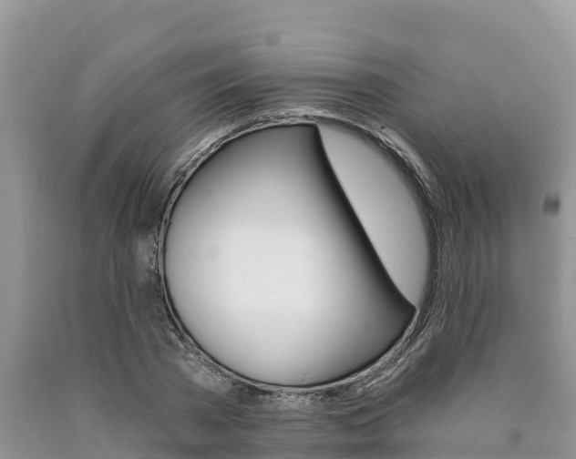 X0000090780785200707201134
