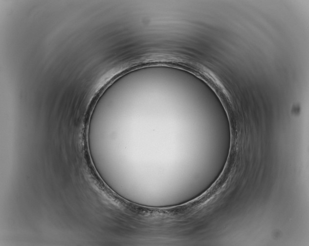 X0000090780786200707201134