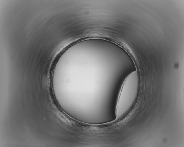 X0000090780787200707201134