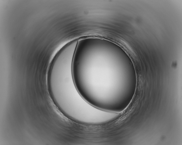 X0000090780788200707201134
