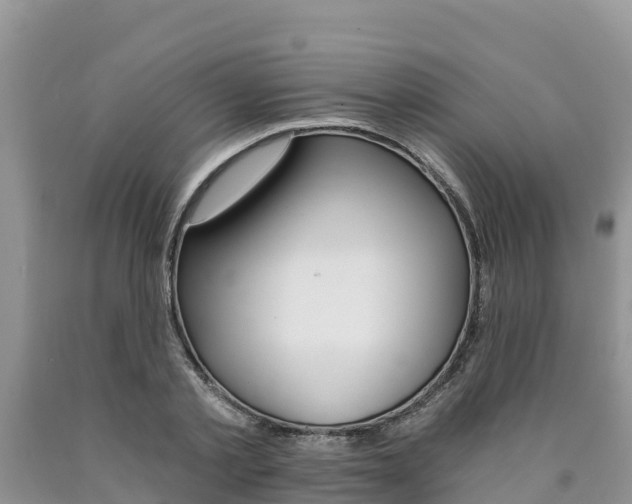 X0000090780789200707201134