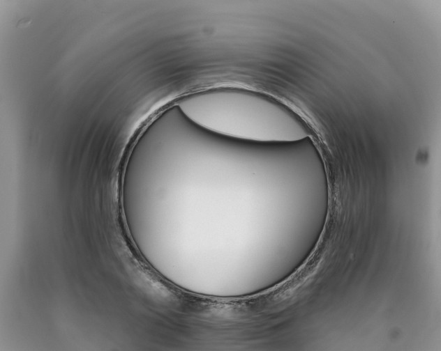 X0000090780790200707201134