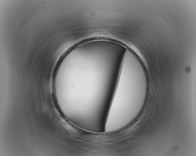 X0000090780791200707201134