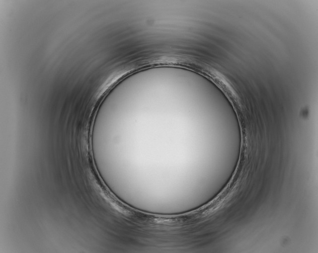 X0000090780794200707201134