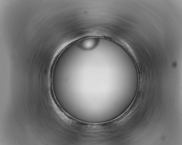 X0000090780795200707201134