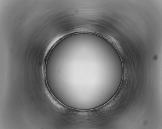 X0000090780796200707201134