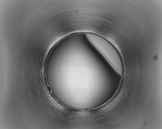 X0000090780797200707201134