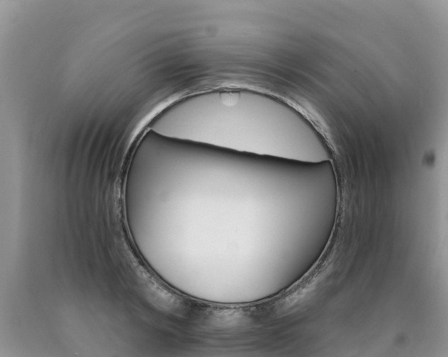 X0000090780798200707201134