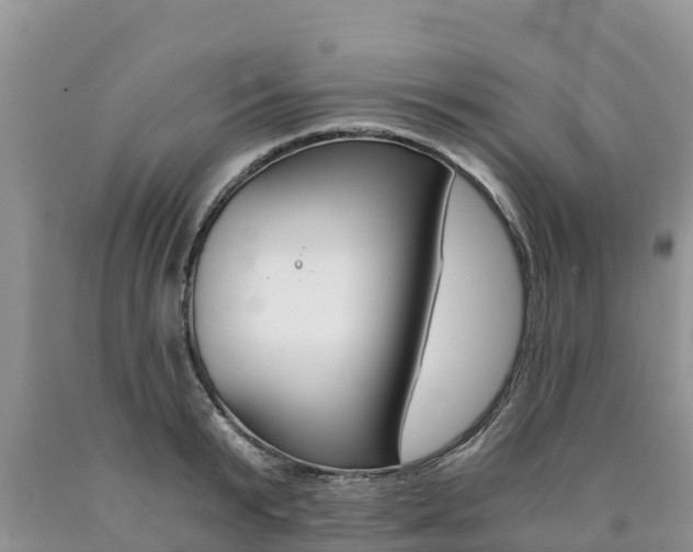 X0000090780799200707201134