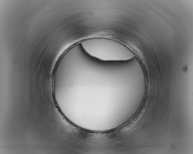 X0000090780800200707201134