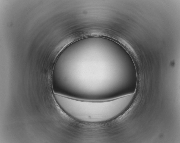 X0000090780801200707201134