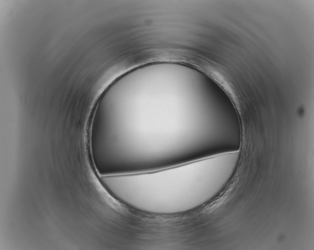 X0000090780803200707201134