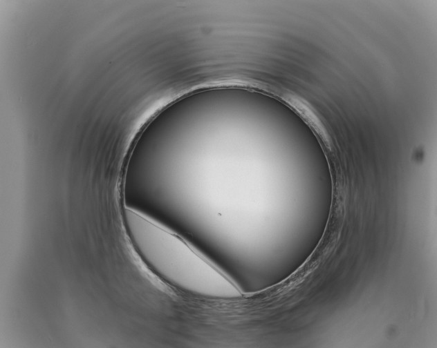 X0000090780805200707201134