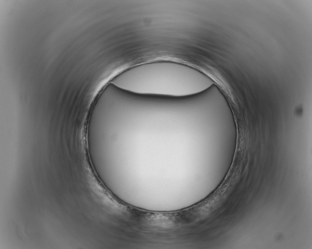 X0000090780806200707201134