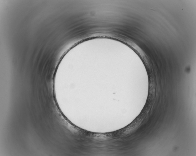 X0000090780807200707201134