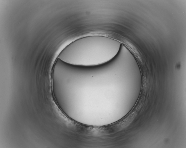 X0000090780808200707201134
