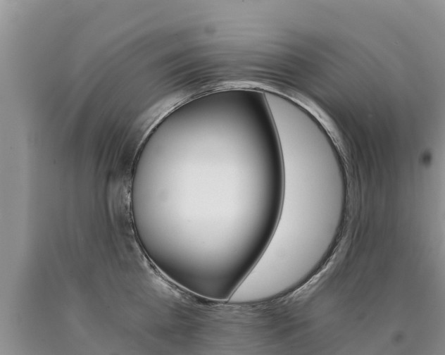 X0000090780809200707201133