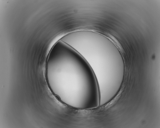X0000090780812200707201133