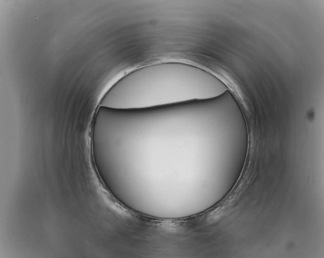 X0000090780814200707201133