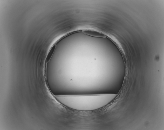 X0000090780815200707201133