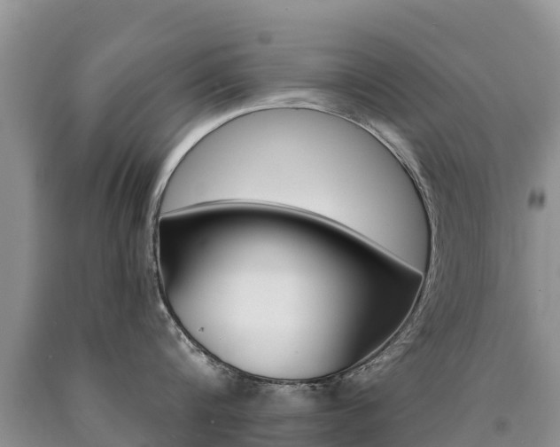 X0000090780816200707201133