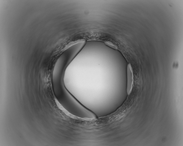 X0000090780818200707201133