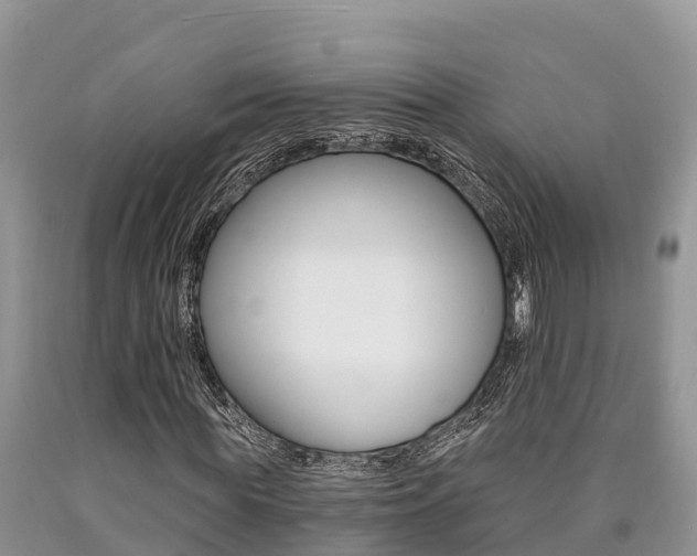 X0000090780819200707201133