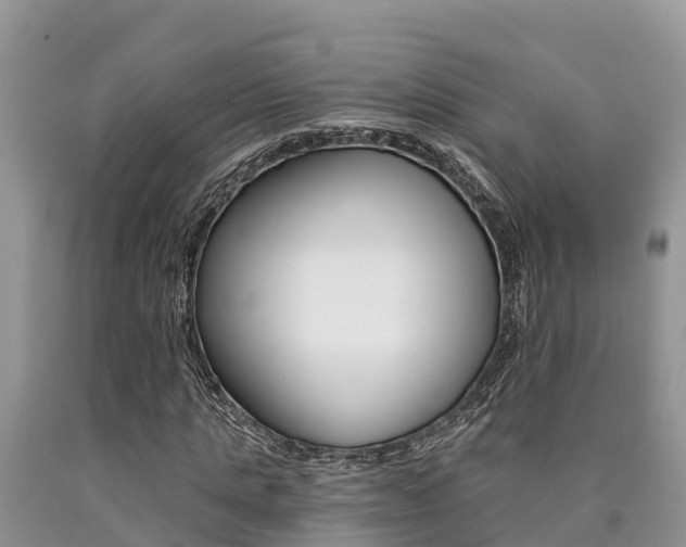 X0000090780821200707201133