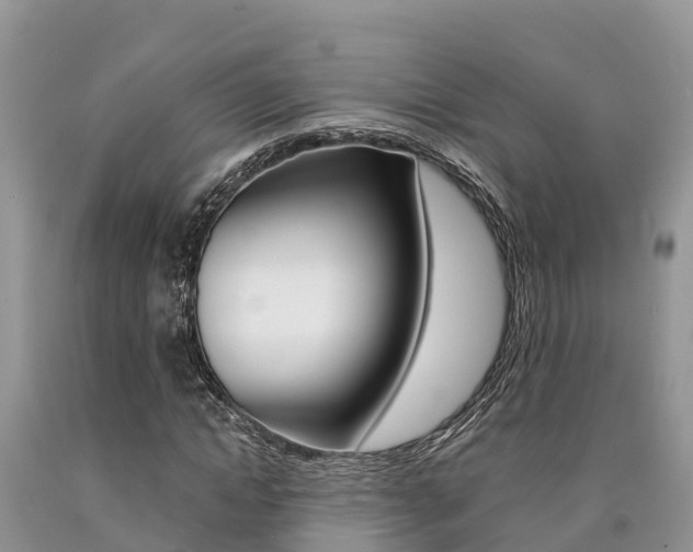 X0000090780822200707201133