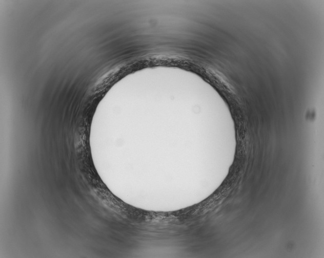 X0000090780824200707201133