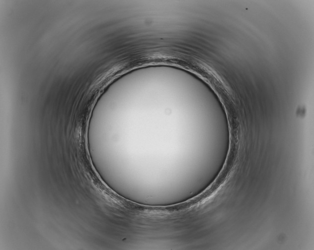 X0000090780825200707201133