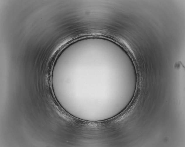 X0000090780827200707201133