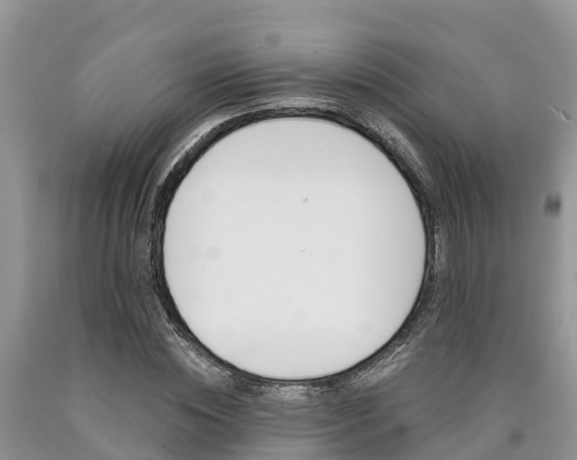 X0000090780828200707201133
