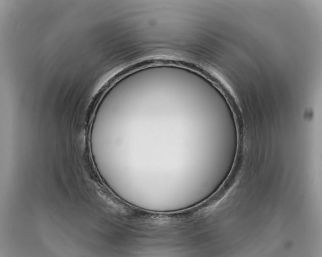 X0000090780829200707201133