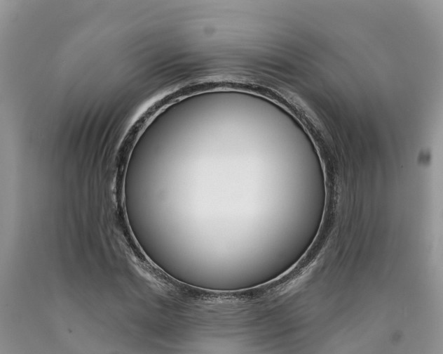 X0000090780830200707201133