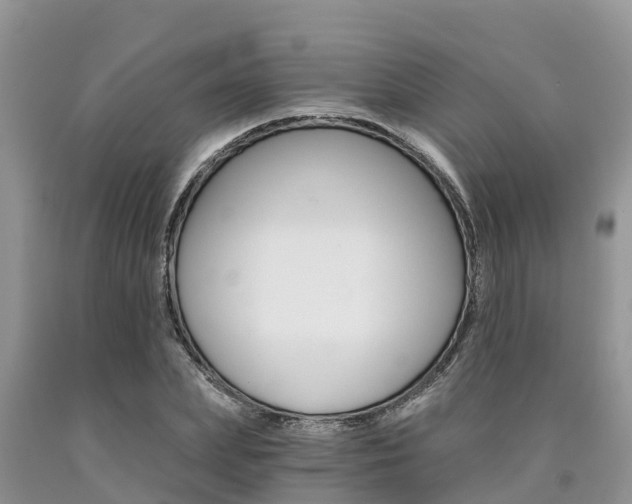 X0000090780831200707201133