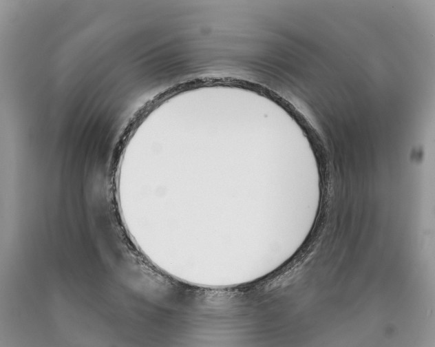 X0000090780832200707201133