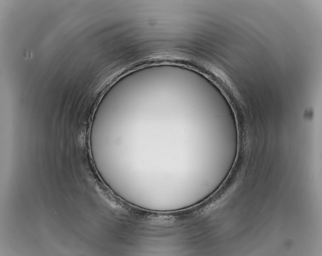 X0000090780833200707201133