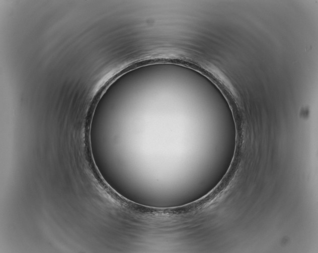X0000090780834200707201133