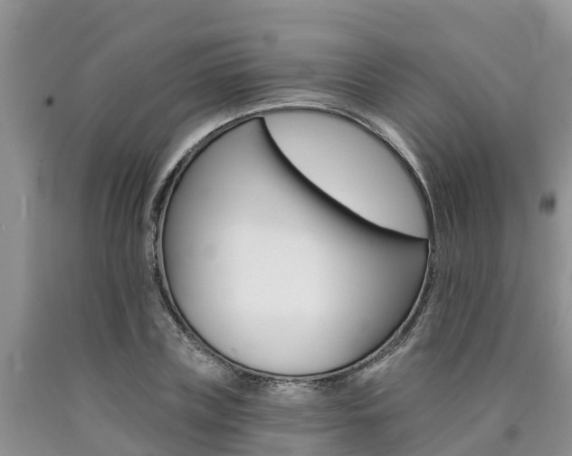 X0000090780835200707201133