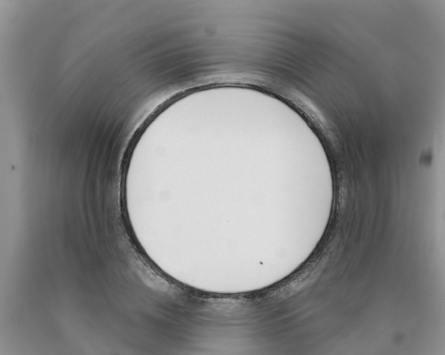X0000090780836200707201133