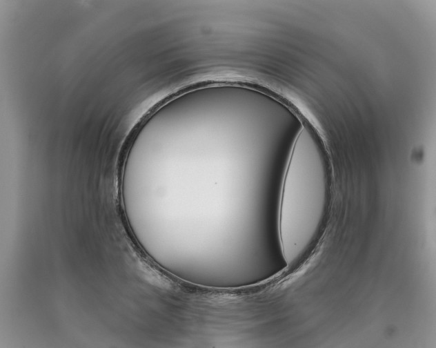 X0000090780837200707201133